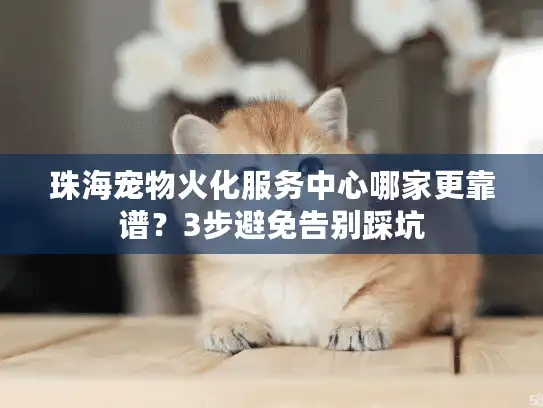 珠海宠物火化服务中心哪家更靠谱？3步避免告别踩坑