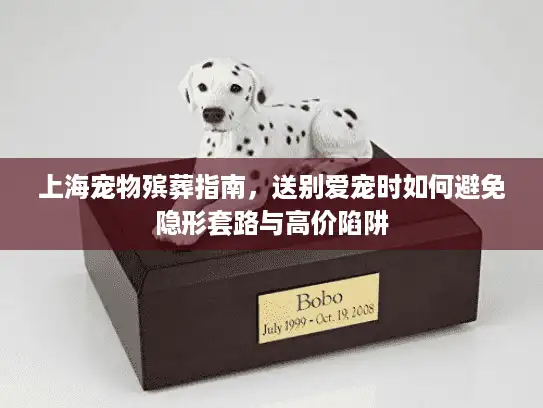 上海宠物殡葬指南，送别爱宠时如何避免隐形套路与高价陷阱
