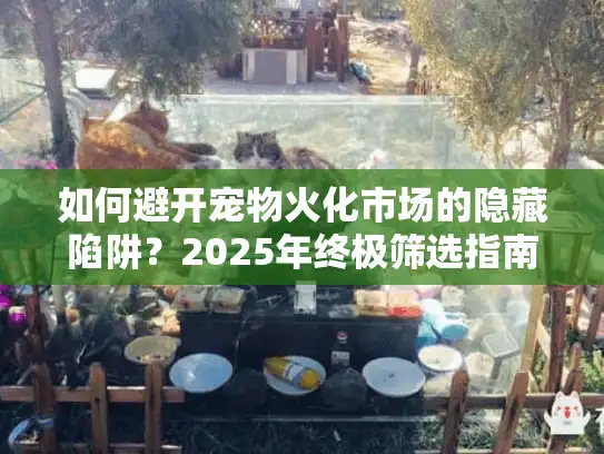 如何避开宠物火化市场的隐藏陷阱？2025年终极筛选指南