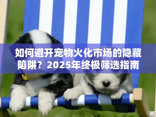 如何避开宠物火化市场的隐藏陷阱？2025年终极筛选指南