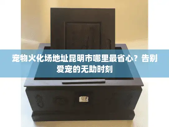 宠物火化场地址昆明市哪里最省心？告别爱宠的无助时刻