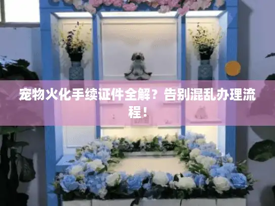 宠物火化手续证件全解？告别混乱办理流程！