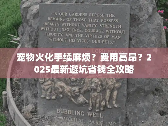 宠物火化手续麻烦？费用高昂？2025最新避坑省钱全攻略