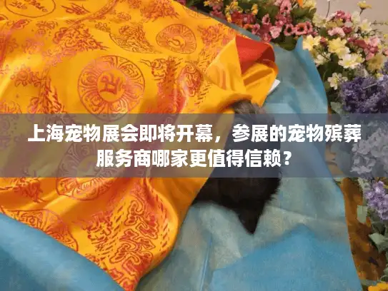 上海宠物展会即将开幕，参展的宠物殡葬服务商哪家更值得信赖？
