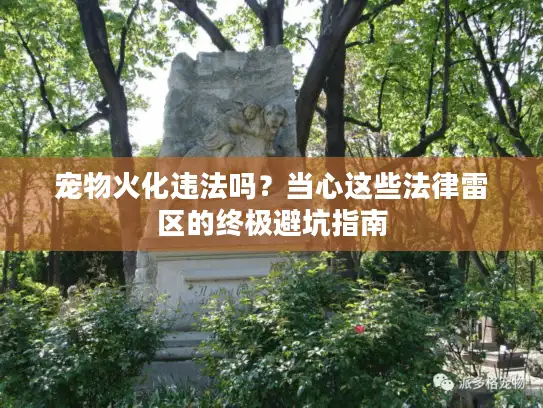 宠物火化违法吗？当心这些法律雷区的终极避坑指南