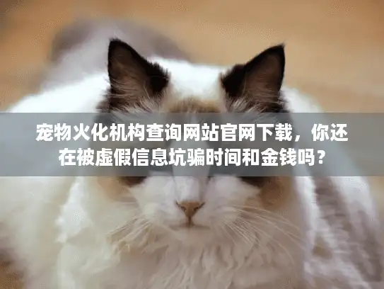 宠物火化机构查询网站官网下载，你还在被虚假信息坑骗时间和金钱吗？