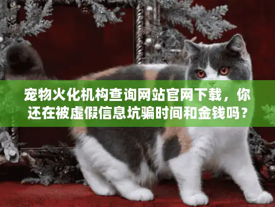 宠物火化机构查询网站官网下载，你还在被虚假信息坑骗时间和金钱吗？