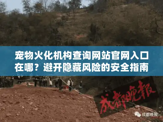 宠物火化机构查询网站官网入口在哪？避开隐藏风险的安全指南
