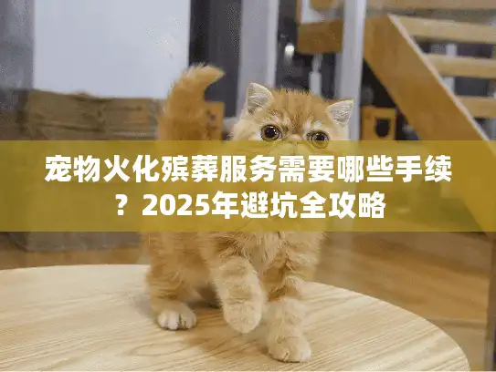 宠物火化殡葬服务需要哪些手续？2025年避坑全攻略