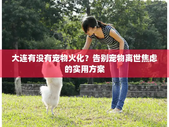大连有没有宠物火化？告别宠物离世焦虑的实用方案