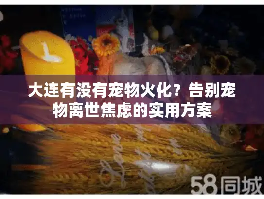大连有没有宠物火化？告别宠物离世焦虑的实用方案