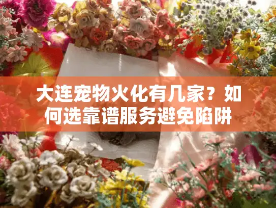 大连宠物火化有几家？如何选靠谱服务避免陷阱