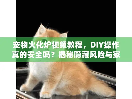 宠物火化炉视频教程，DIY操作真的安全吗？揭秘隐藏风险与家庭解法