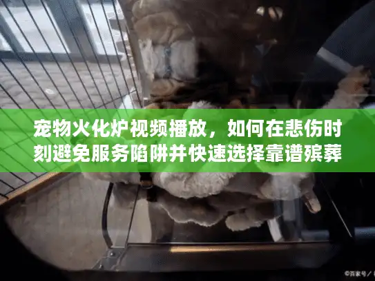 宠物火化炉视频播放，如何在悲伤时刻避免服务陷阱并快速选择靠谱殡葬？