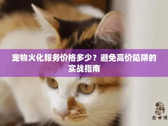 宠物火化服务价格多少？避免高价陷阱的实战指南