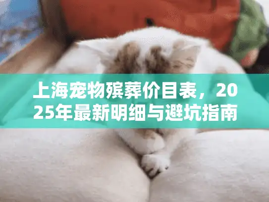 上海宠物殡葬价目表，2025年最新明细与避坑指南