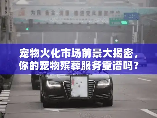 宠物火化市场前景大揭密，你的宠物殡葬服务靠谱吗？