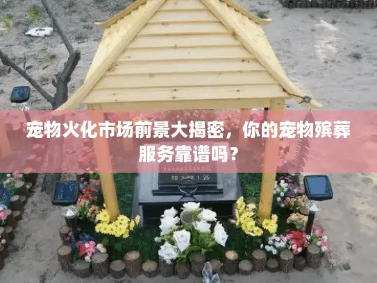 宠物火化市场前景大揭密，你的宠物殡葬服务靠谱吗？