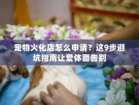 宠物火化店怎么申请？这9步避坑指南让爱体面告别