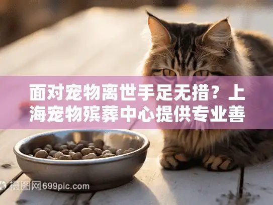 面对宠物离世手足无措？上海宠物殡葬中心提供专业善终指南