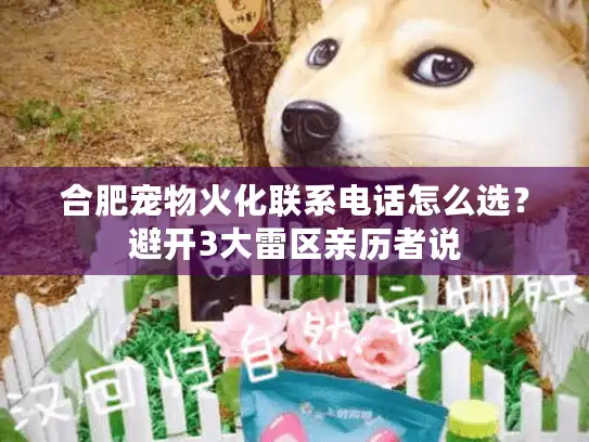 合肥宠物火化联系电话怎么选？避开3大雷区亲历者说
