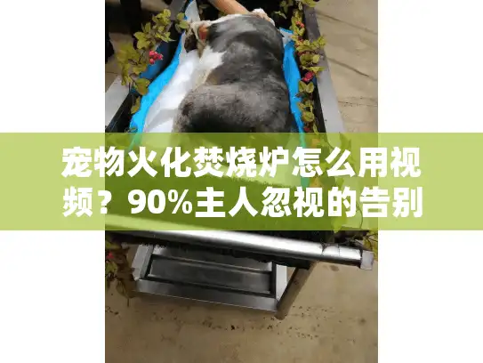 宠物火化焚烧炉怎么用视频？90%主人忽视的告别仪式细节
