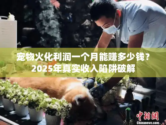 宠物火化利润一个月能赚多少钱？2025年真实收入陷阱破解