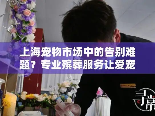 上海宠物市场中的告别难题？专业殡葬服务让爱宠尊严离去