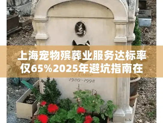 上海宠物殡葬业服务达标率仅65%2025年避坑指南在此