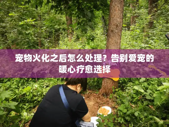 宠物火化之后怎么处理？告别爱宠的暖心疗愈选择