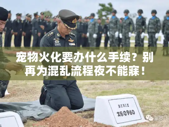 宠物火化要办什么手续？别再为混乱流程夜不能寐！
