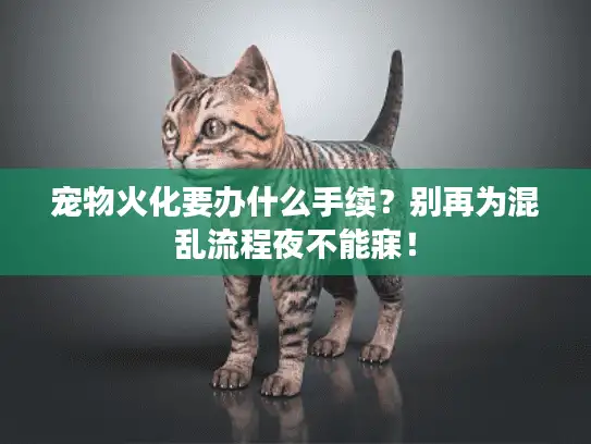 宠物火化要办什么手续？别再为混乱流程夜不能寐！