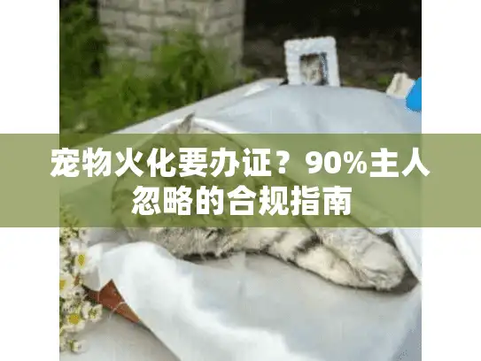 宠物火化要办证？90%主人忽略的合规指南