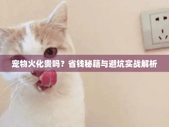 宠物火化贵吗？省钱秘籍与避坑实战解析