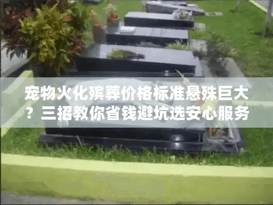 宠物火化殡葬价格标准悬殊巨大？三招教你省钱避坑选安心服务