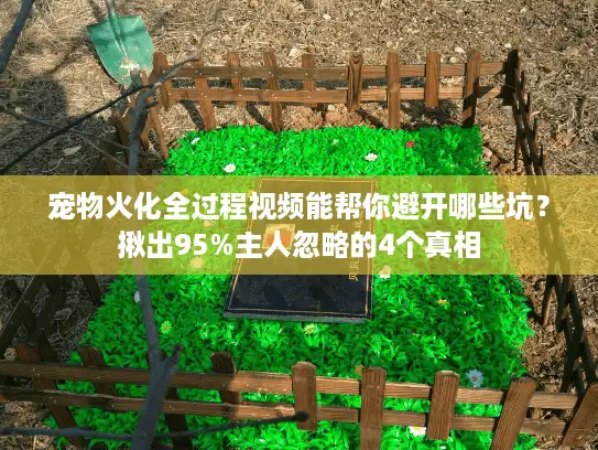 宠物火化全过程视频能帮你避开哪些坑？揪出95%主人忽略的4个真相