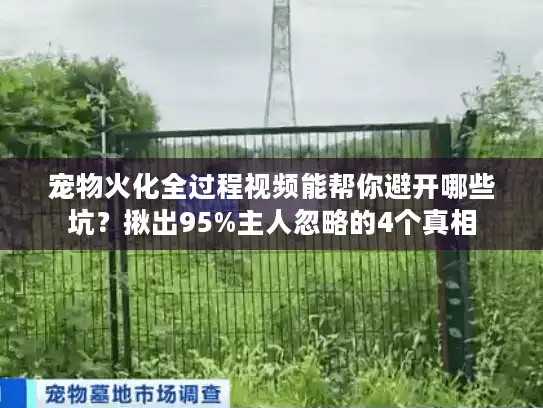 宠物火化全过程视频能帮你避开哪些坑？揪出95%主人忽略的4个真相