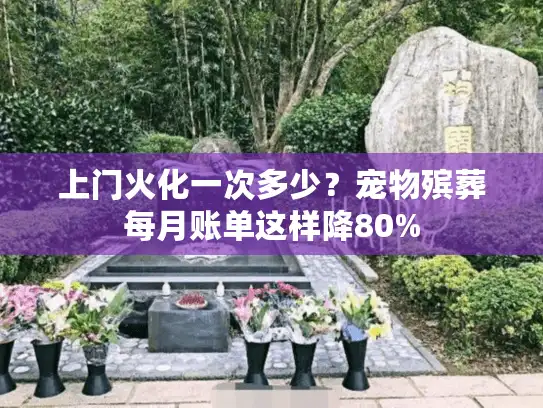 上门火化一次多少？宠物殡葬每月账单这样降80%