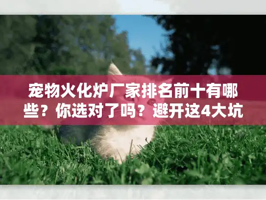 宠物火化炉厂家排名前十有哪些？你选对了吗？避开这4大坑
