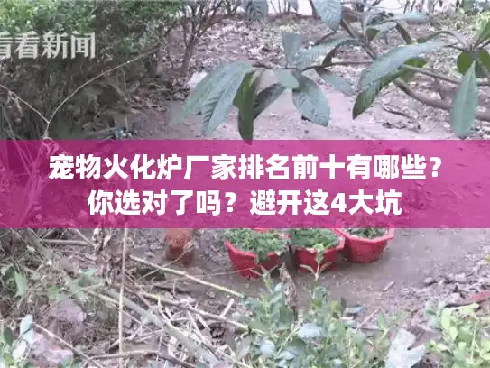 宠物火化炉厂家排名前十有哪些？你选对了吗？避开这4大坑
