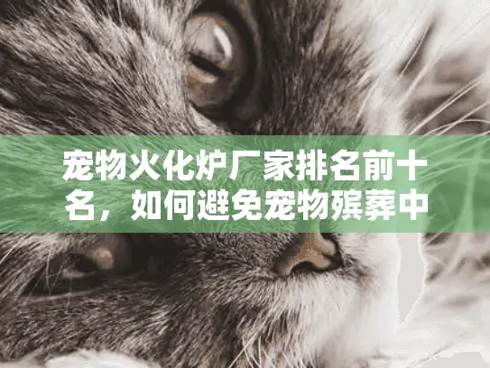 宠物火化炉厂家排名前十名，如何避免宠物殡葬中的高价陷阱？