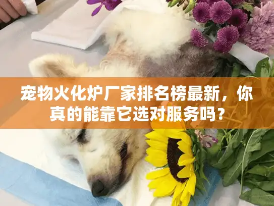 宠物火化炉厂家排名榜最新，你真的能靠它选对服务吗？