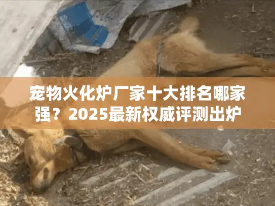 宠物火化炉厂家十大排名哪家强？2025最新权威评测出炉