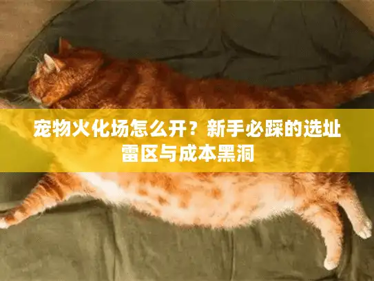 宠物火化场怎么开？新手必踩的选址雷区与成本黑洞