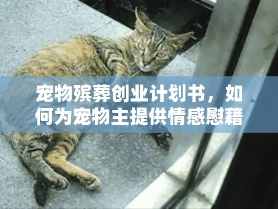 宠物殡葬创业计划书，如何为宠物主提供情感慰藉的创业指南