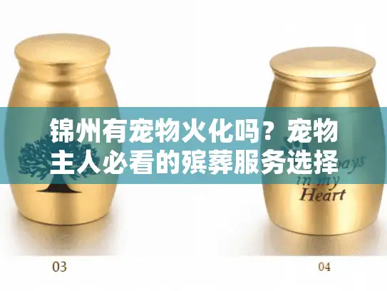锦州有宠物火化吗？宠物主人必看的殡葬服务选择难题