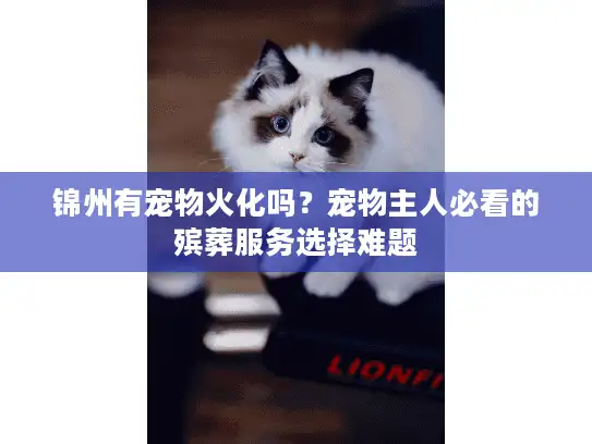 锦州有宠物火化吗？宠物主人必看的殡葬服务选择难题