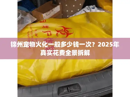 锦州宠物火化一般多少钱一次？2025年真实花费全景拆解