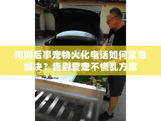 狗狗后事宠物火化电话如何紧急解决？告别爱宠不慌乱方案