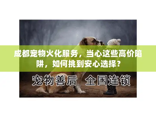 成都宠物火化服务，当心这些高价陷阱，如何挑到安心选择？